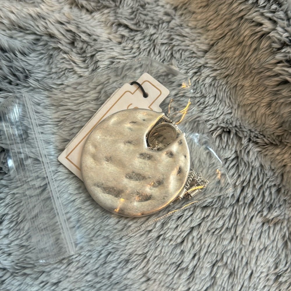 NWT Silver Beautiful necklace.